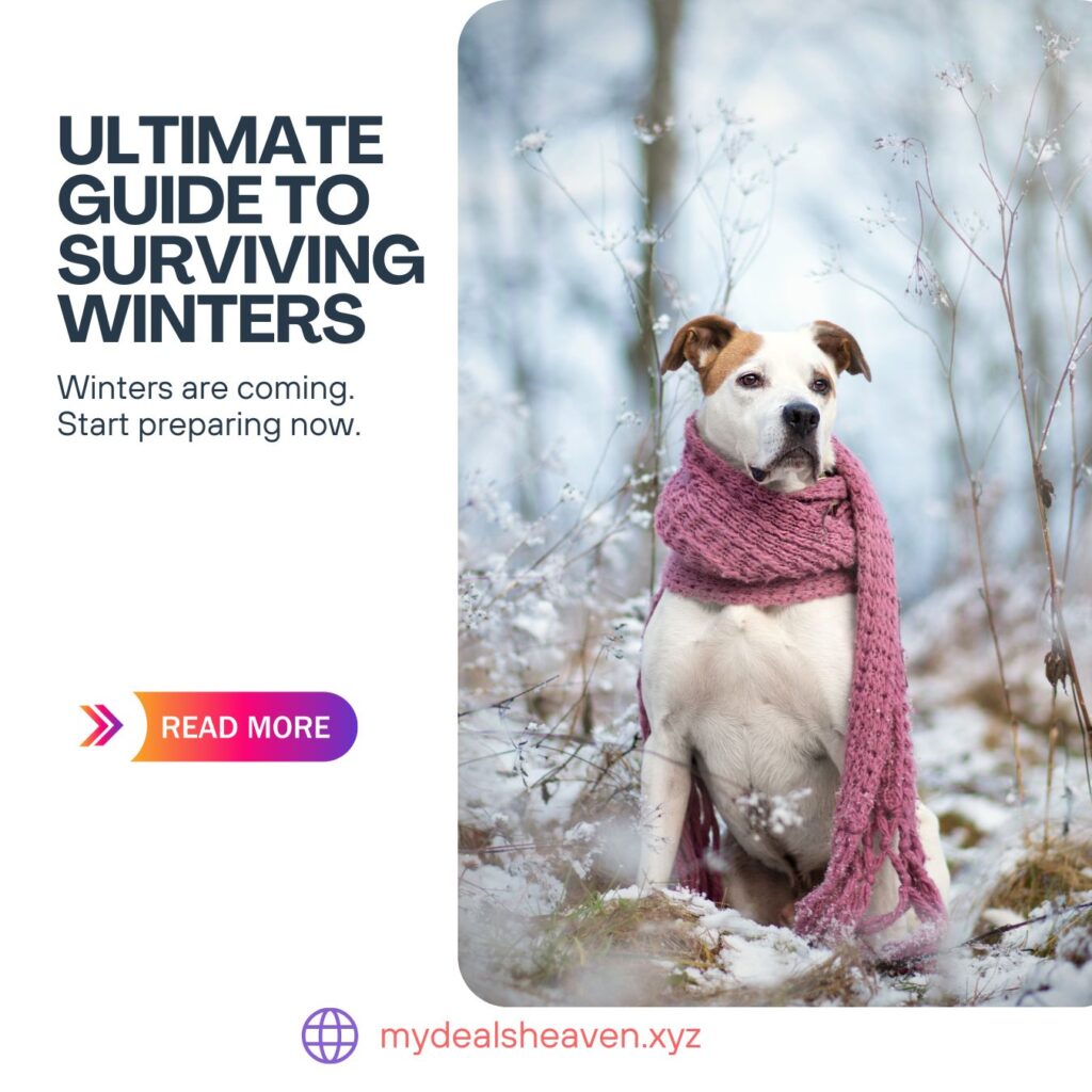 how to survive winter