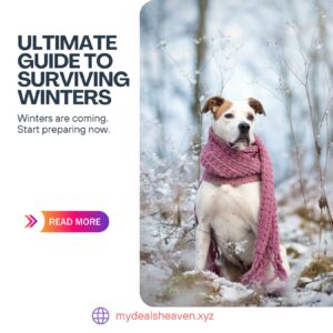 how to survive winter